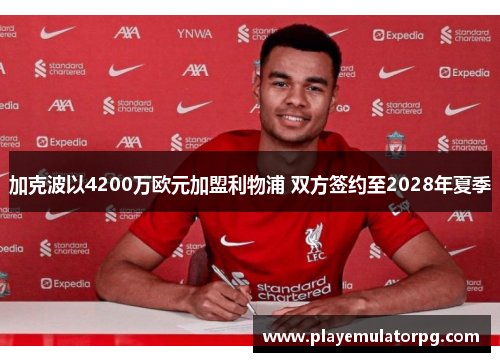 加克波以4200万欧元加盟利物浦 双方签约至2028年夏季 加克波以4200万欧元加盟利物浦 双方签约至2028年夏季